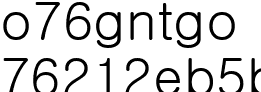 레오파드 머리핀